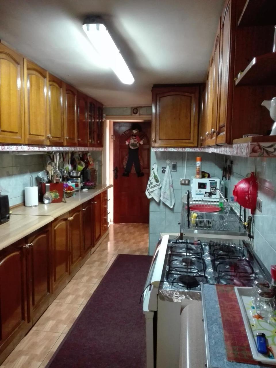 Lotus Shared-House Daire Puerto Montt Dış mekan fotoğraf